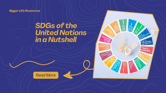 SDGs of the United Nations in a Nutshell