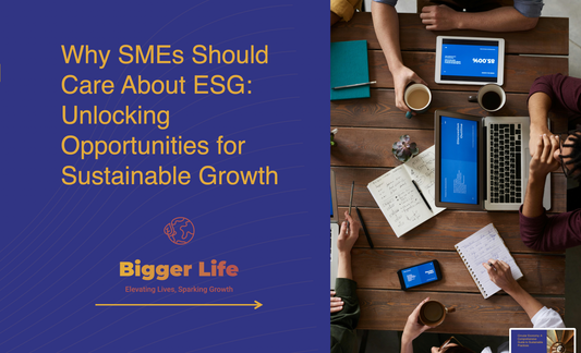 Why SMEs Should Care About ESG: Unlocking Opportunities for Sustainable Growth
