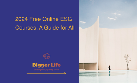 2024 Free Online ESG Courses: A Guide for All