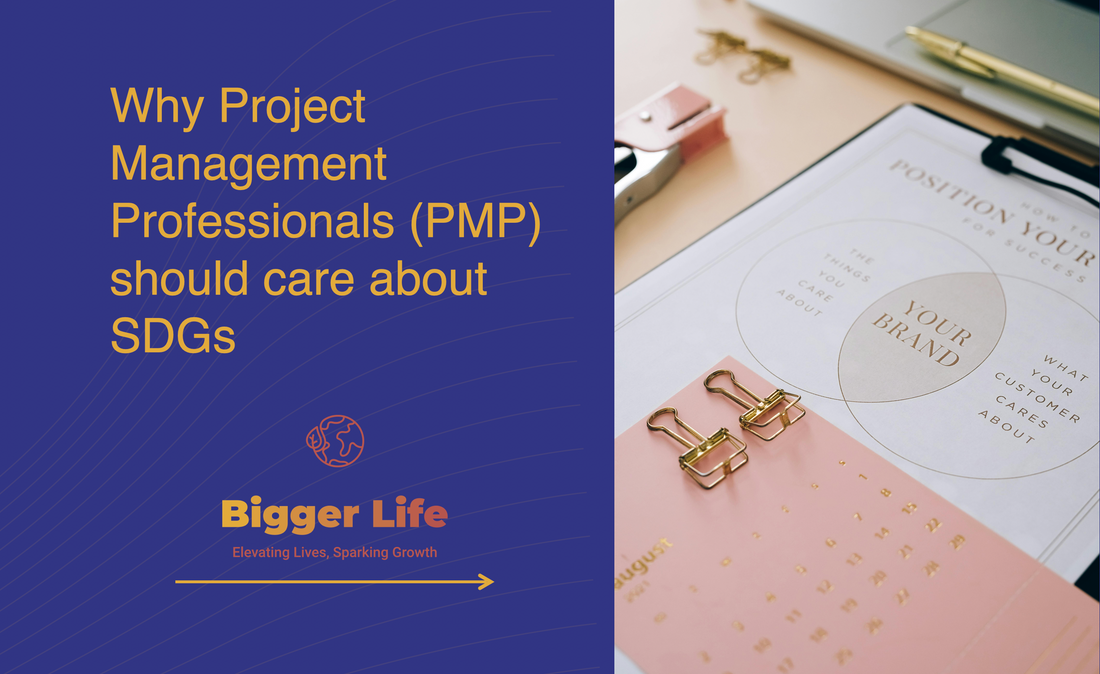 Why Project Management Professionals (PMP) should care about SDGs