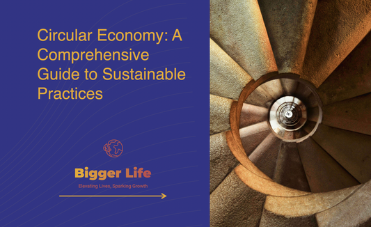 Circular Economy 101: A Comprehensive Guide to Sustainable Practices