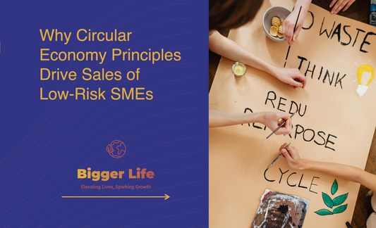 Why Circular Economy Principles Drive Sales of Low-Risk SMEs